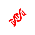 Cybridicon.png