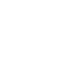 Twitter icon white.png
